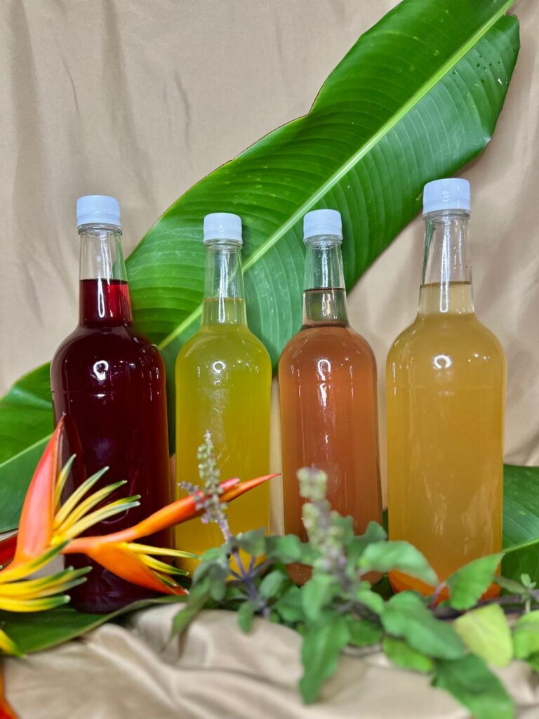 Kombucha - Guanábana