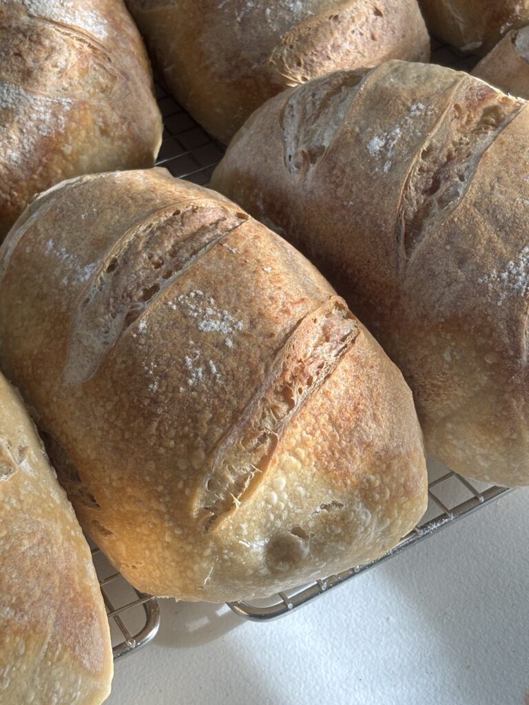 Classic Sourdough Bread (Rectangular)