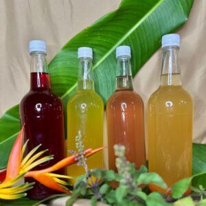 Kombucha - Sabor de Temporada 750ml